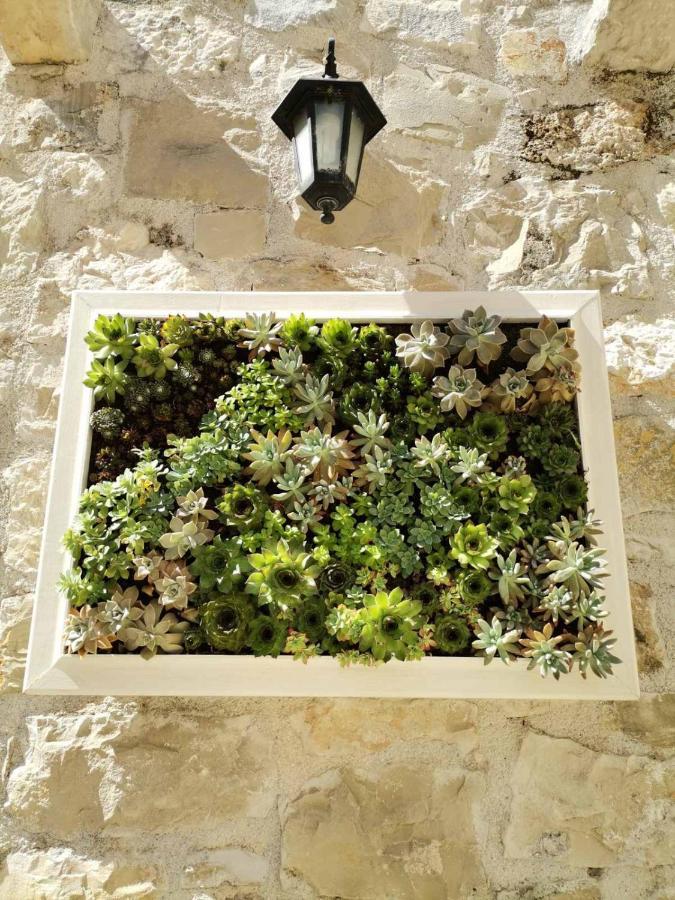 Old Town Studio Apartments Makarska Exterior foto